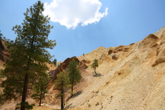 2008 White Family Reunion at Big Rock Candy Mountain, Utah